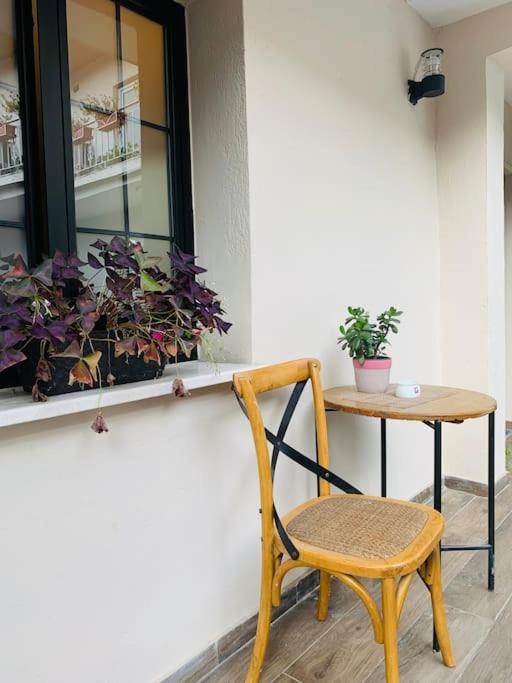 Appartement Spacious In A Trendy Neighborhood Tirana